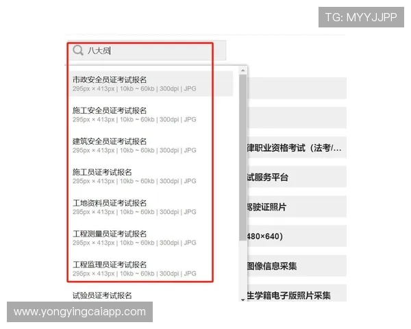 河内1分彩玩法技巧与实战策略全面解析