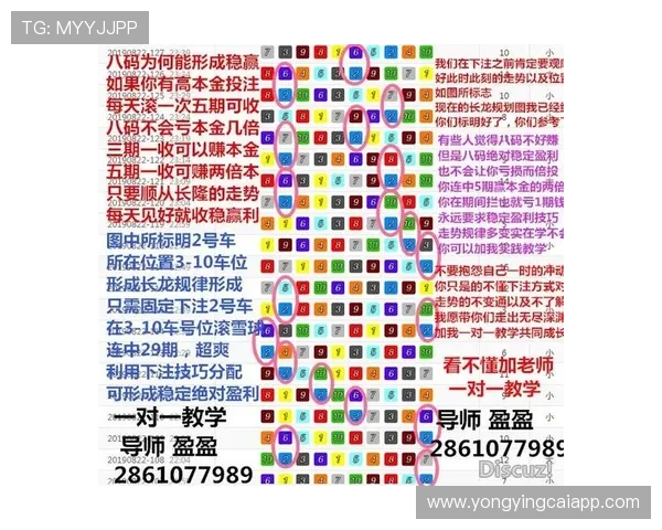 极速飞艇玩法规则详解 新手必看技巧与策略解析