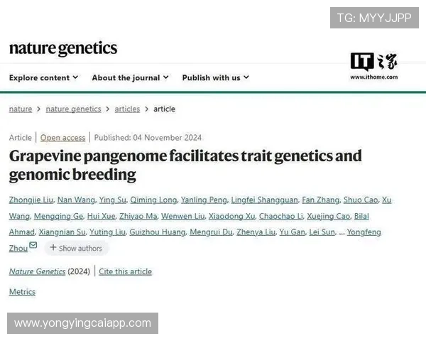 竞速快三最新走势分析与精准选号技巧全面预测指南 竞速快三最新走势分析与精准选号技巧全面预测指南